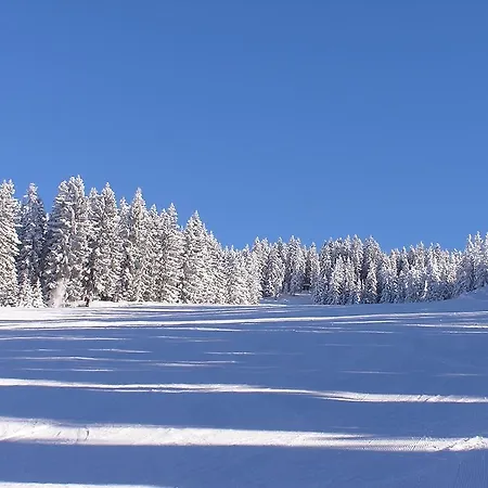 Bio-bauernhof Nichlgut Eben Im Pongau