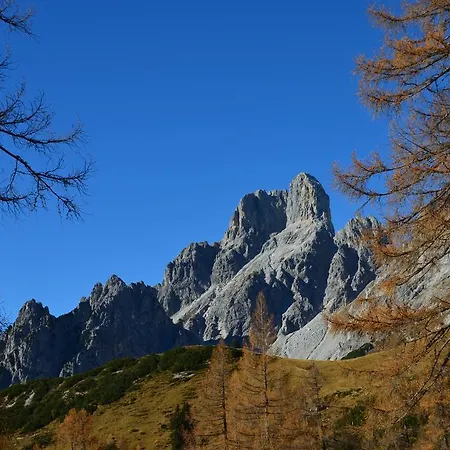 Alojamento de Turismo Rural Bio-bauernhof Nichlgut *