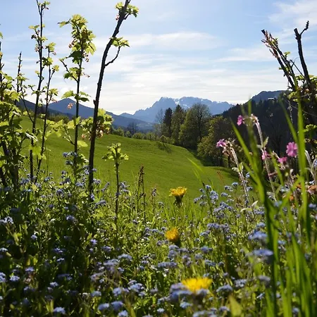 Bio-bauernhof Nichlgut Eben Im Pongau