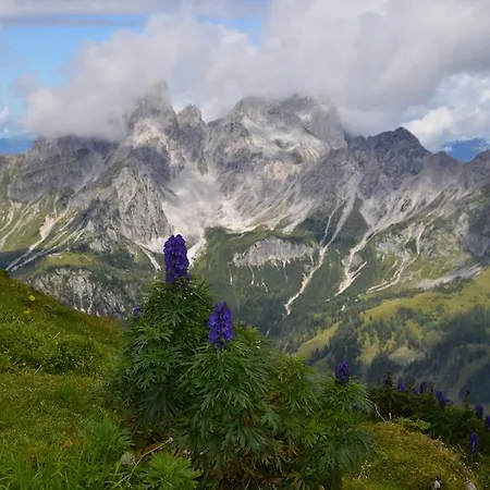 Bio-bauernhof Nichlgut Çiftlik konaklama Eben Im Pongau